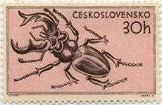жук-олень на почтовых марках